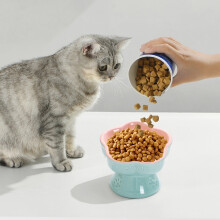 Comedero de cerámica de alimentación lenta para gatos: con base alta, sistema antiatragantamiento y antivuelco, diseño de boca oblicua para gatos