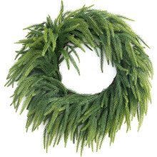 Norfolk Pine Wreat - Aito kosketus 22 tuumaa