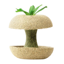 Timothy Grass Core Teething Chew Bar for Small Pets – Edible Mushroom-Shaped Toy for Dental Health & Overgrowth Prevention