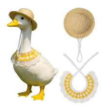 Déguisement d'oie pour Halloween - Sorcière - Vêtements pour oie de jardin - Costume d'automne pour oie - Décoration extérieure pour terrasse,