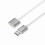 Magnetic Charging Cable for Laifen LFTB01-P Toothbrush Type 1