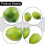 Limone artificiale in schiuma, frutta decorativa verde, 6 pezzi 4