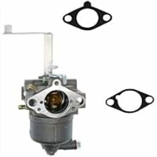 697978Carburateur de remplacement pour 796321 696132 699966 699958 591378Générateur