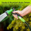 Leader Gartenschlauch, 5/8" x 50ft, robustes PVC 4