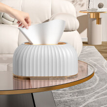 Boîte à mouchoirs rectangulaire en plastique blanc, 22,4 x 10,9 x 13,2 cm, cadeau élégant et décoratif pour la famille