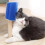 Kattenmassageborstel met afneembare kam 2