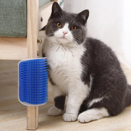 Kattenmassageborstel met afneembare kam 2