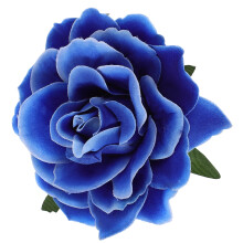 Haarnadel und Brosche mit blauer Rose zur Haardekoration für Sommerpicknick und Soiree