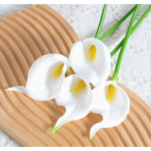 15 Lile Calla Beaga Saorga