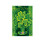 St. Patrick's Day-Poster mit Kleeblattrand 1