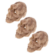 Calaveras decorativas de resina beige para terrarios de reptiles, juego de 3