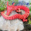 Bréagán Fidget Dragon Gem Priontáilte 3D 1 phíosa 3