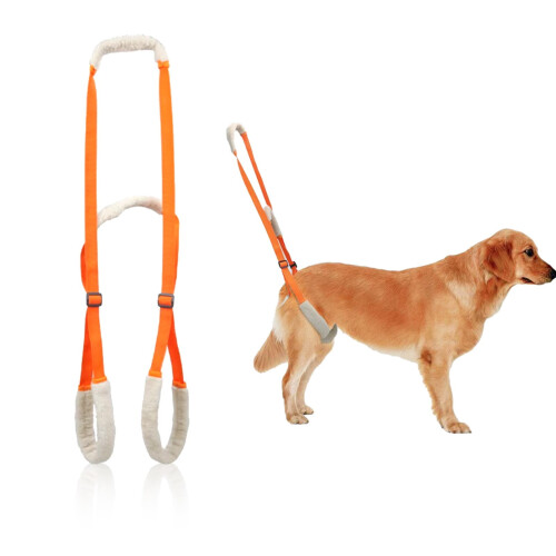 Hunde-Hintergeschirr mit Griff – Orange, 2 Stück 1