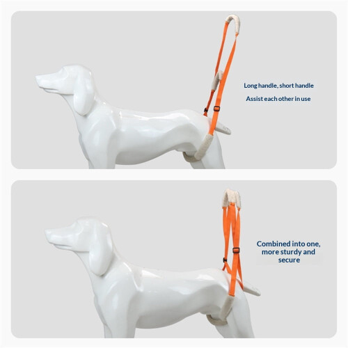 Hunde-Hintergeschirr mit Griff – Orange, 2 Stück 2