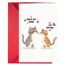 Set di 12 biglietti di San Valentino per coppie con buste