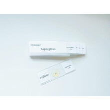 Portaobjetos preparados para microscopio de Aspergillus, paquete de 5 portaobjetos de Aspergillus que muestran esporas de hongos, aprenda sobre la
