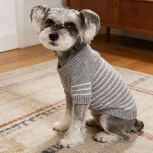 Gestreifter Strickpullover mit Haustiermotiv – Polyester, Größen S–2XL 2