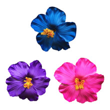 Gearrthóg Gruaige Bláth Hibiscus do Mhná 3 phíosa