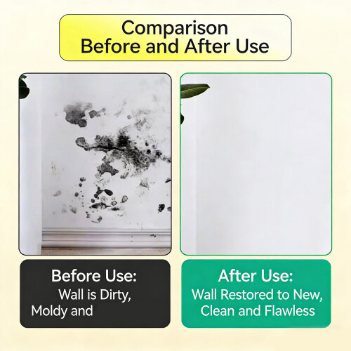 Quick Dry Water Base Wall Restorations-White Combination pack 1