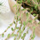 jute rope leaf ribbon 2m 5m DIY gift wrapping 3