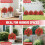 Artificial Topiary Ball Tree with Camellia Flowers21inch 7