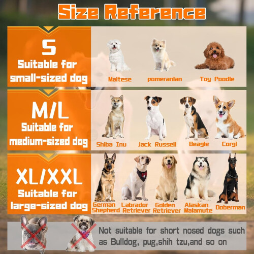 Soft Adjustable Mesh Dog Muzzle for Small Dogs 1 Pack 2