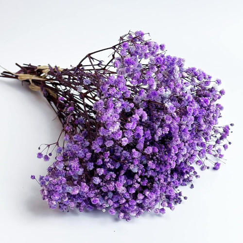 Διατηρημένο Baby's Breath3Bunches, Φυσική Γυψοφίλη για Συνθέσεις Βάζων, Διακόσμηση