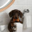 Θήκη χαρτιού υγείας για κουτάβια Dachshund, επιτοίχια βάση TP – Διακοσμητικό με 6
