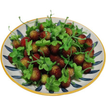 15 fraises artificielles réalistes pour fêtes, mariages, décoration intérieure, cuisine et accessoires photo – Compatibles avec tous les styles