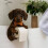 Θήκη χαρτιού υγείας για κουτάβια Dachshund, επιτοίχια βάση TP – Διακοσμητικό με 8