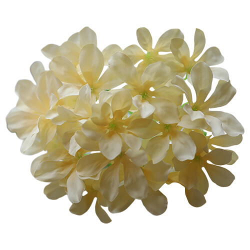 Cinní Hydrangea Saorga27Forc6Coirnéil