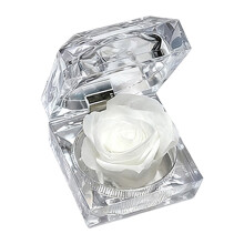 Preserved Red Rose in Acrylic Jewelry Box