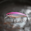 2 τεμάχια Bionic Hard Bait Δολώματα Ψαρέματος, 5.2cm/4.5g Βυθιζόμενο Jerkbait για Λαβράκι & Λούτσο 1