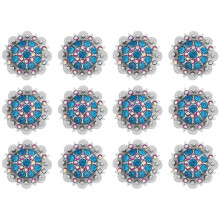 Conchos Rhinestone Bláthanna le haghaidh Ceardaíocht Leathair – 12 phíosa