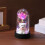 LED Rose Bear Night Light with Blue Preserved Flower and 6