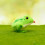 Jumping Frog Clockwork Toy Green STEM Educational Toy 7