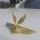 Car Eagle Emblem Ornament Decoration Engine Hood 3D Eagle Emblem Modificati GXX 4