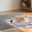 Tapete térmico para animais de estimação com controle de termostato, 30 x 45 cm (12 x 18 polegadas) 2