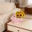 Pink Lace Trim Wicker Flower Basket Decorative Handheld 1 4