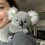 Koaly Emotional Healing Knuffelkoala 1 stuk 5