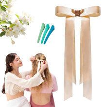 2026 Magnetische strik haarclip - Sterke, antislip magnetische clips, afneembare satijnen balletlint haarspeld, schattig haaraccessoire voor achter