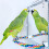 Acrylic bird mirror with rope perches for parakeets 2
