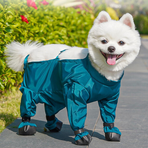 Botas impermeáveis para cães com suspensórios tamanho G 2