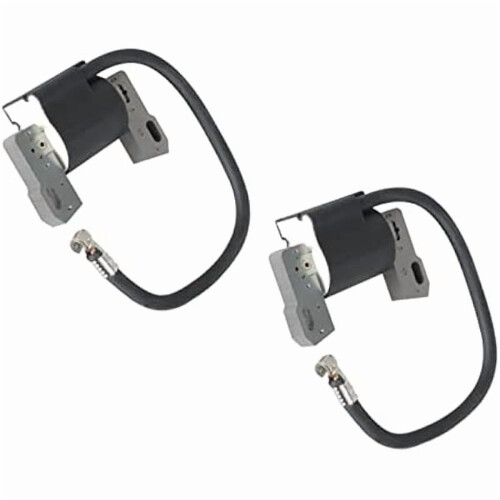 Ignition Coil Replacement for Small Engines 2 PK