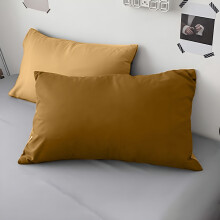 Oreiller en duvet d'oie, format Queen, housse en coton biologique, lot de 2