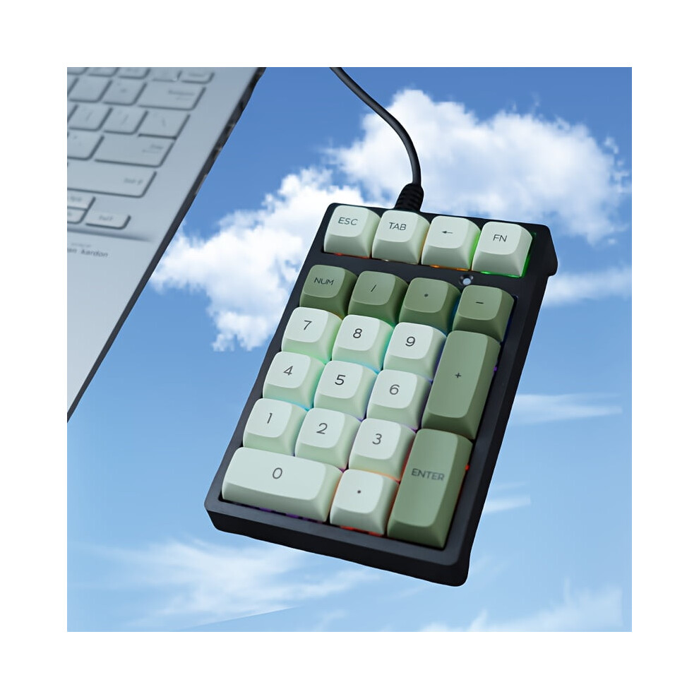 Mechanical Numeric Keypad Switch Mini Wired Keyboard Computer Numpad Laptop Pc Accounting Business Workers Number Blue 9422877349340