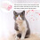 Μαλακή Στολή Σκύλου για Κατοικίδια Σκυλιά Χειμερινή Φανέλα1Σετ 7