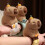 Capybara armbånd mandarin plysj tilbehør for barn 8