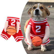 Basketbalspeler huisdierspeelgoed voor hond en kat