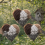 Handmade Alpaca Fiber Bird Nesting Hearts 3 Pack 2